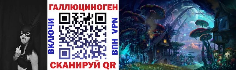 дарнет шоп  Нерехта  Галлюциногенные грибы мицелий 